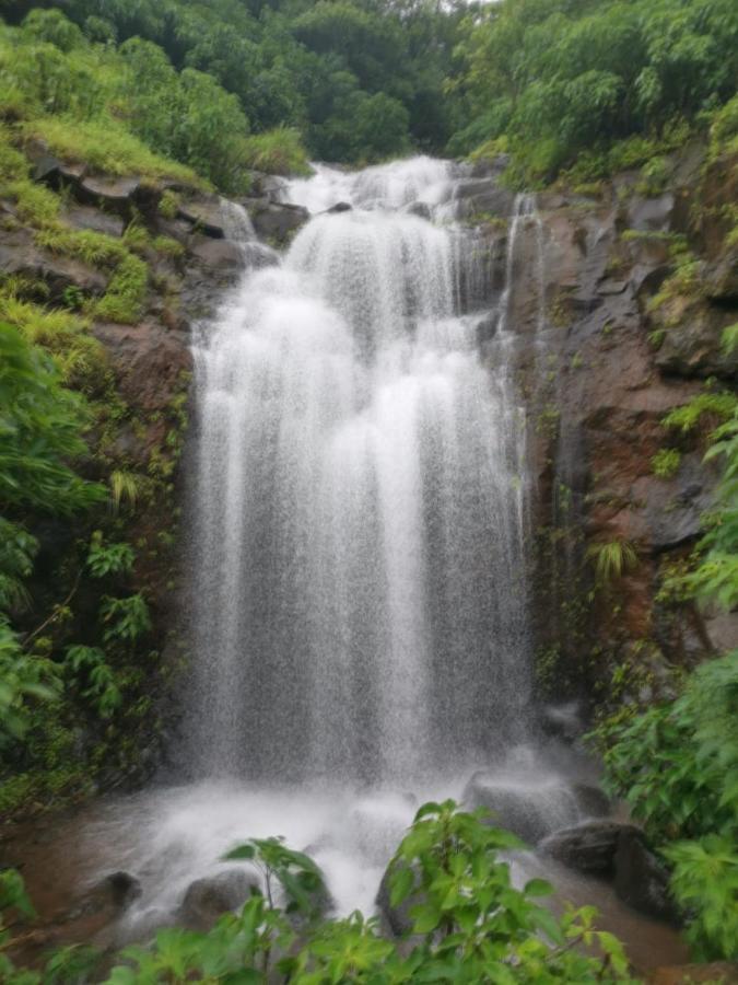 Soul Tree Villa 50 Super Luxury Villa With Heated Plunge Pool And Jacuzzi Lavasa Bagian luar foto